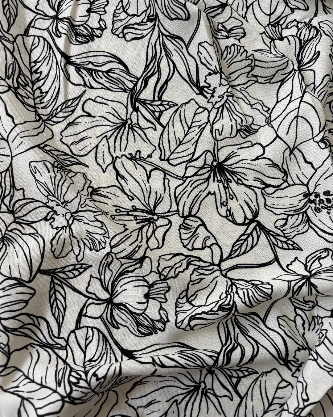 LINO R MAGNOLIA