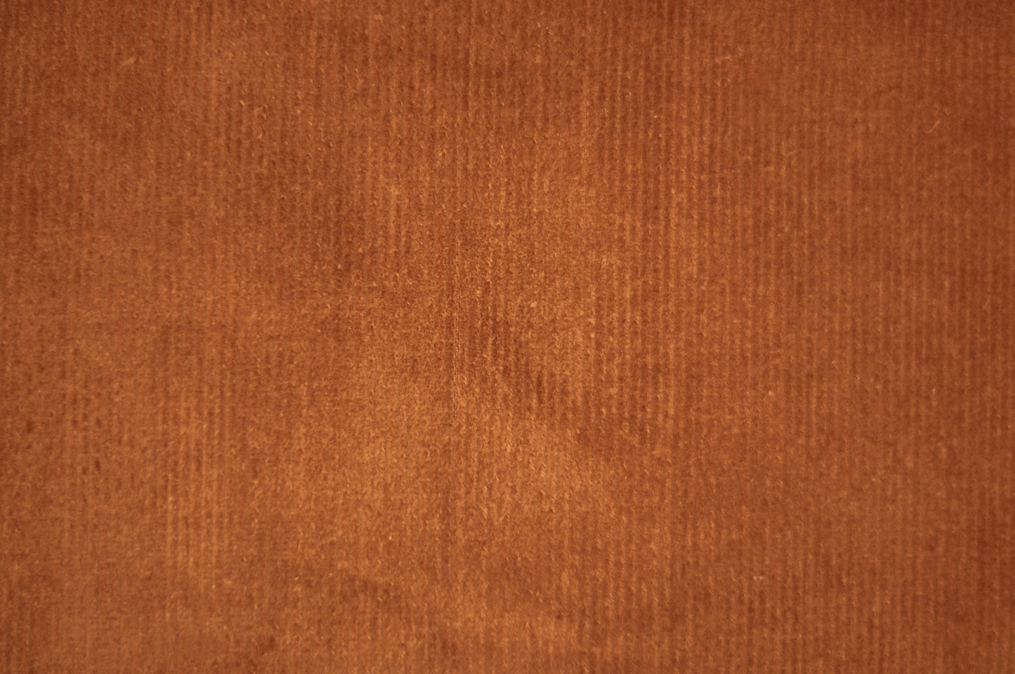 COTELÉ SX (elasticado)